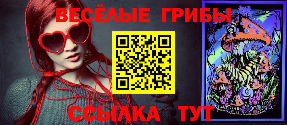Строитель  Псилоцибиновые грибы Psilocybe  Вход с VPN 