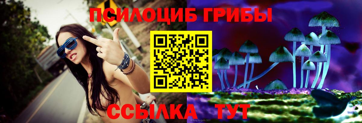 Псилоцибиновые грибы Magic Shrooms Строитель